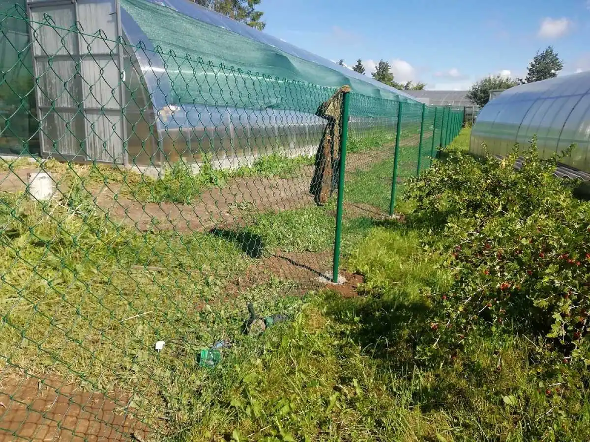 Забор из сетки рабицы в натяг с протяжкой арматуры 15 метров