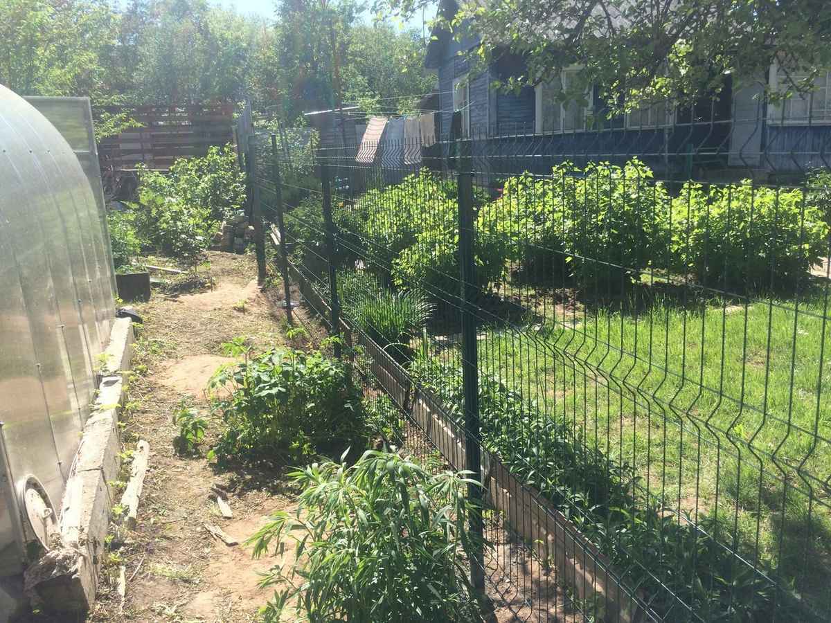 3D забор 6 соток 5мм