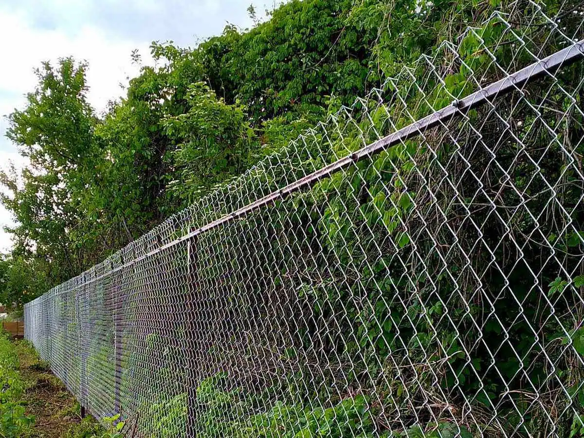 Забор из сетки рабицы на профильном каркасе 95 метров
