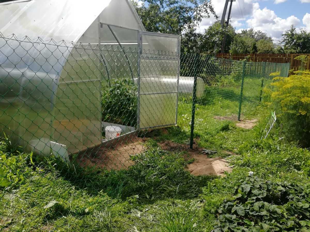 Забор для дома из сетки рабицы 60 метров