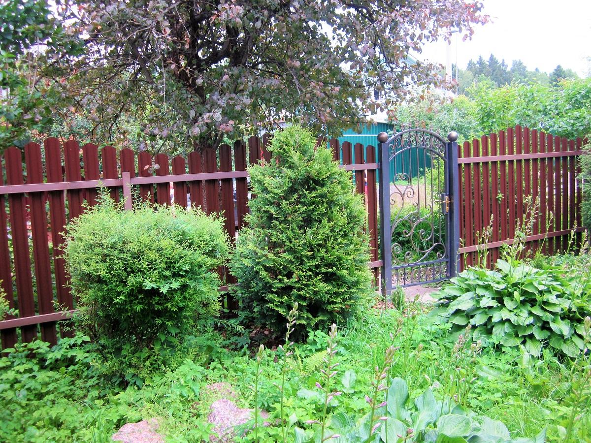 Забор из евроштакетника с забивными столбами 13 метров